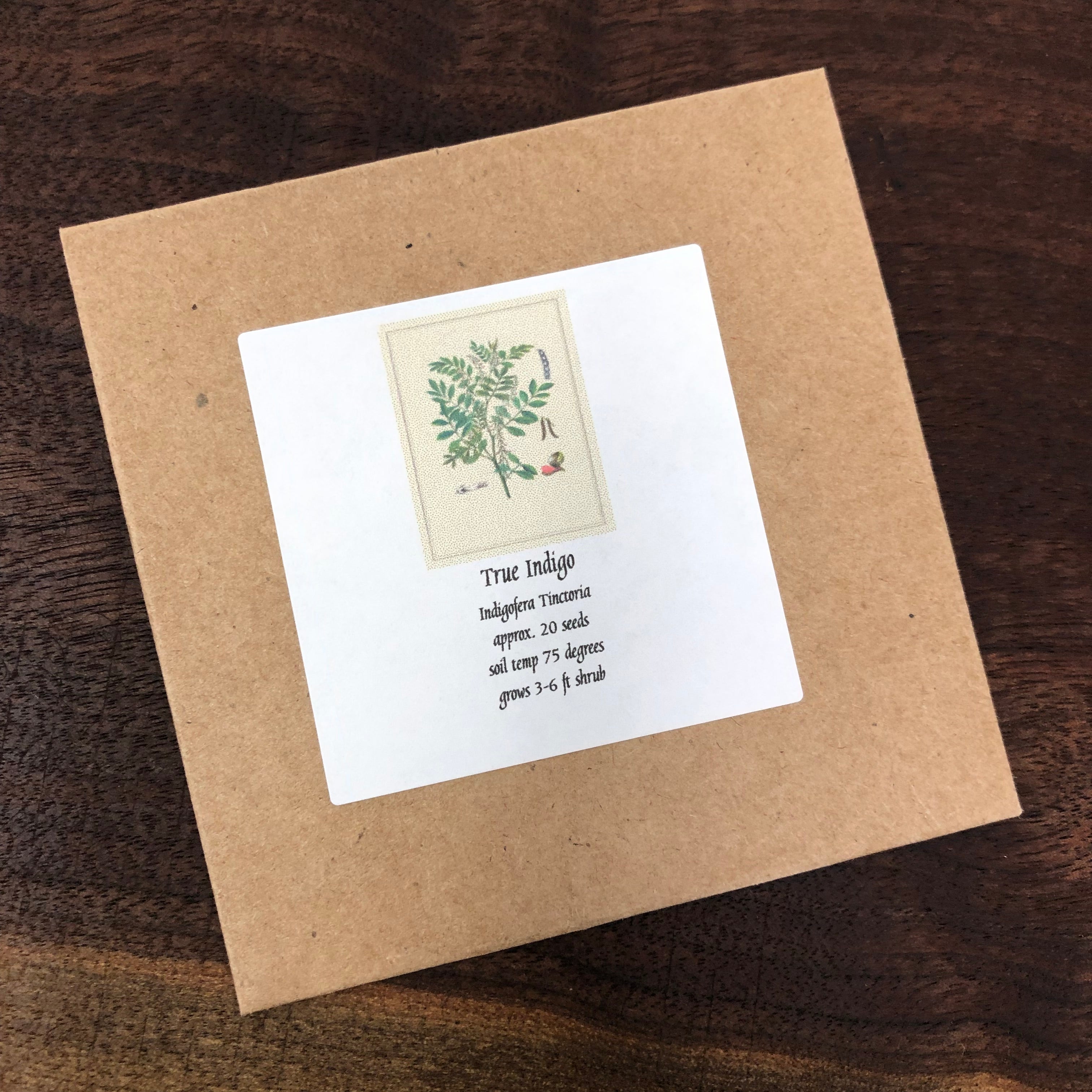 indigo plant seeds online 2026 seed - True Indigo - Seeds