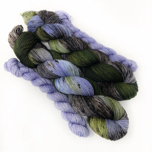 The Wanderer  - sock yarn with mini