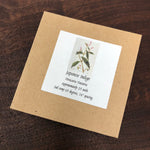 2026 stock Japanese Indigo - Long Leaf mix - Seeds - Persicaria Tinctoria