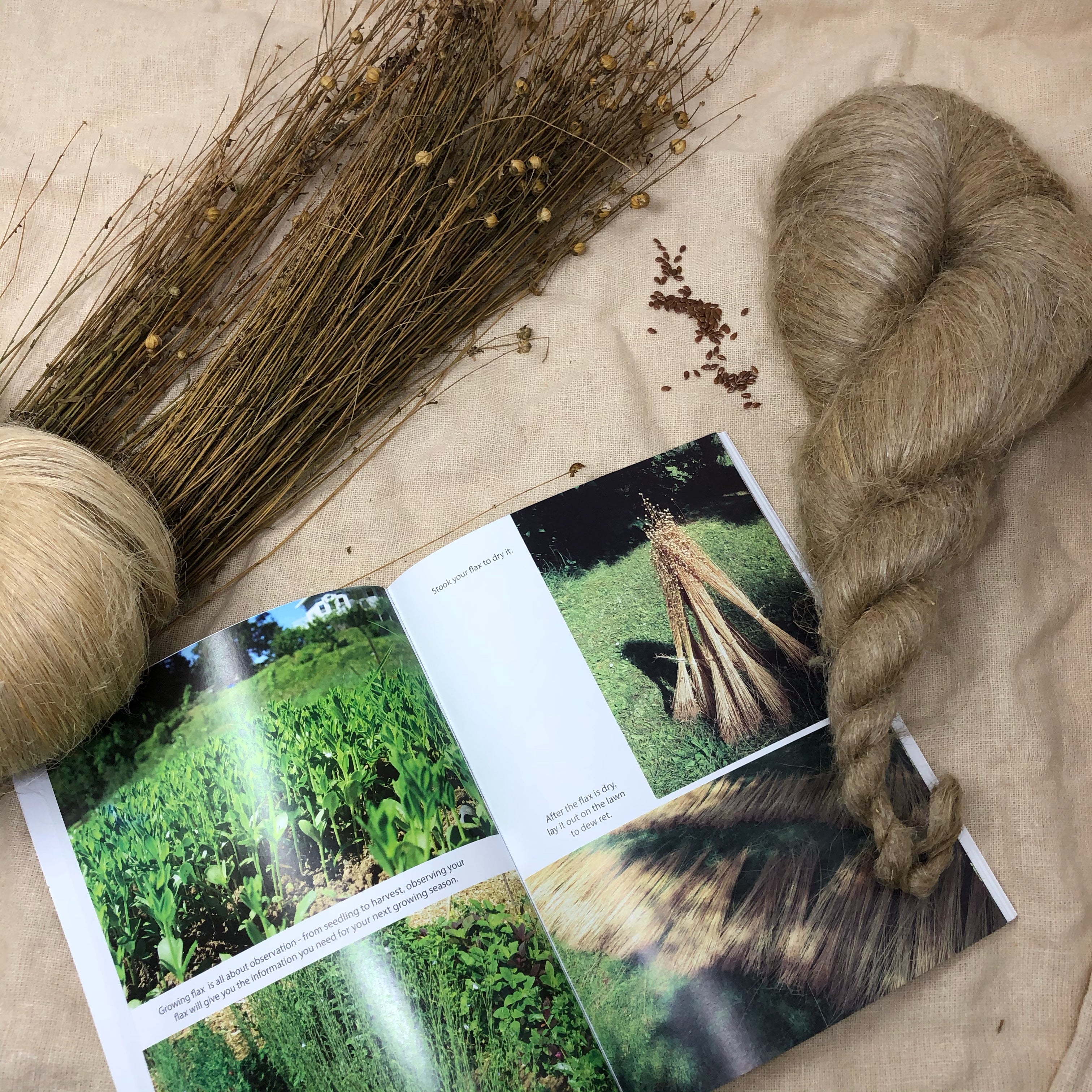 Homegrown Linen, Transforming flaxseed to fibre, by Raven Ranson