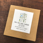 2026 - Nathalie Flax - Seeds - Linum Usitatissimum